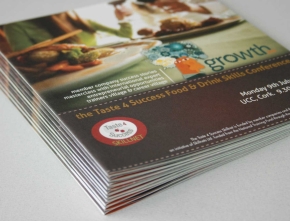 Skillnets Taste4Success Leaflet